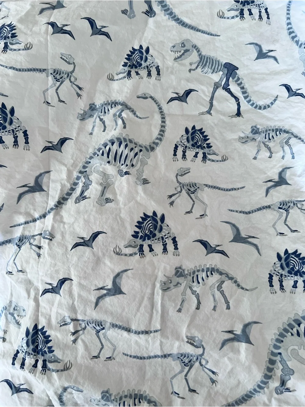 Pottery Barn Kids sheets in this Dinosaur Bones print size twin (set of 2)